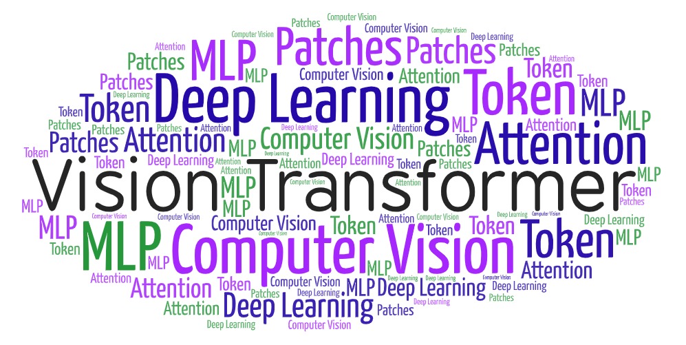 Image Classification With Vision Transformers | Practical Machine Learning